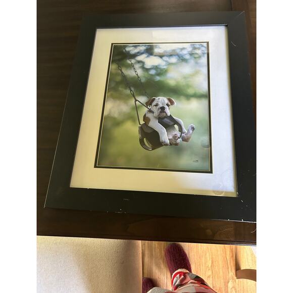 Ron Schmidt Other - Dog on Swing by Ron Schmidt